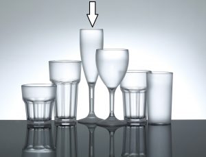 Elite Premium Frosted Polycarbonate 6.6oz Champagne Flute - 12 Pack