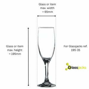 Champagne Flute Measurements Measurements For Storing
