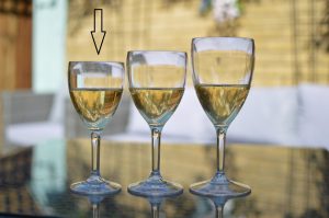 Plastic Wine Glasses 9oz