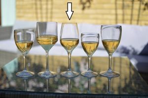 Plastic Wine Premium