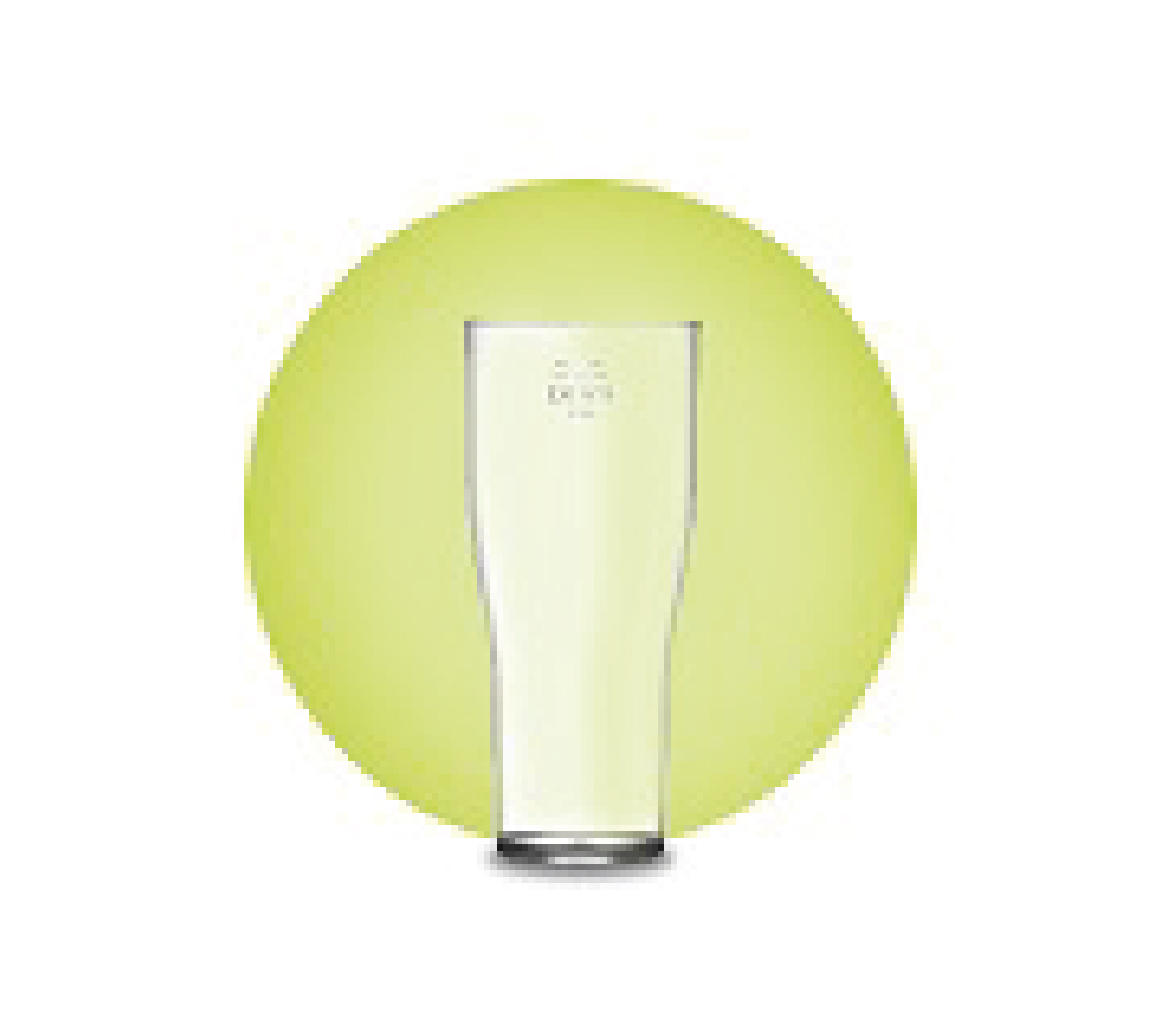 Elite CE Plastic Beer Glasses - CE Marked