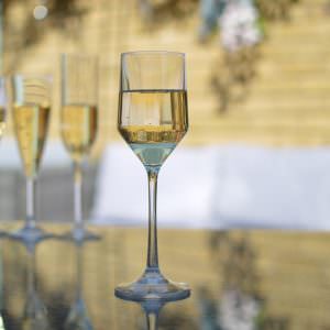 Plastic Champagne Flute Trade Wholesale Portsmouth UK