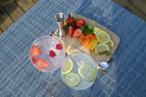 Plastic Gin Glasses - Polycarbonate  Pack of 4