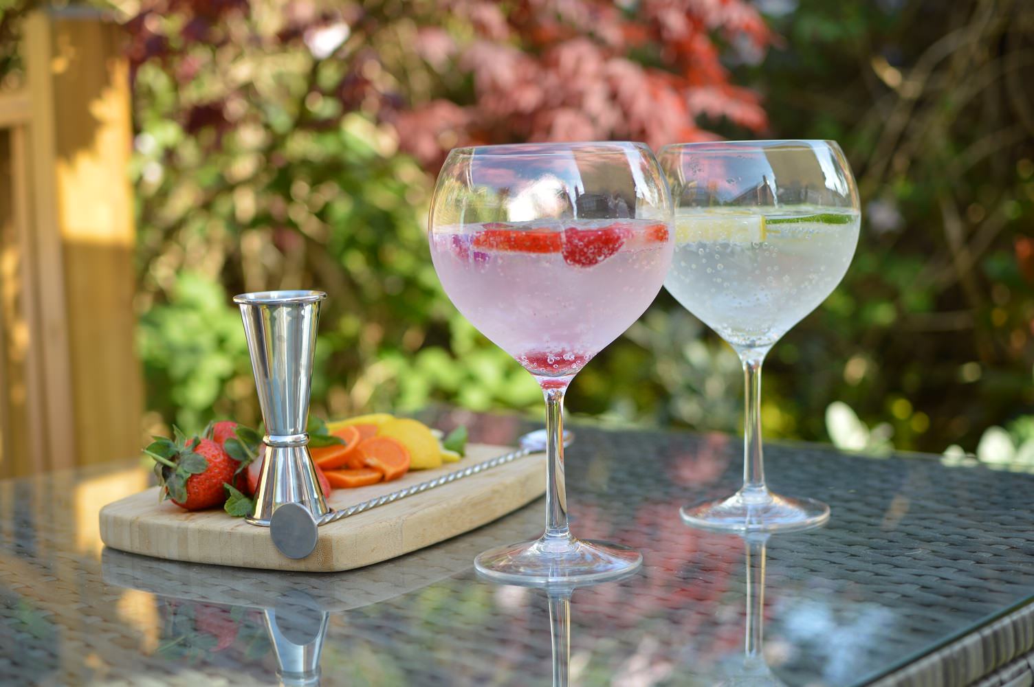 Plastic Gin Glasses - Polycarbonate Pack of 4 - Image 6