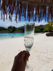 Premium Champagne Flutes - Reusable Plastic - 6 Pack