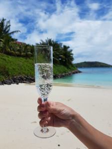 Premium Champagne Flutes - Reusable Plastic - 6 Pack