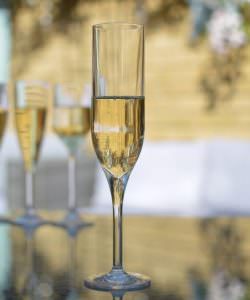 Plastic Champagne Flutes