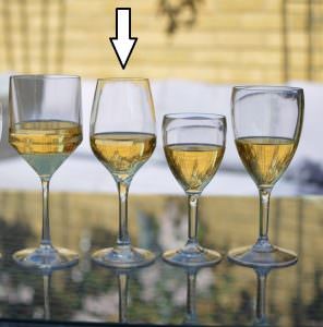 Plastic Wine Premium Glasses London UK