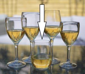 Stemless wine glasses plastic