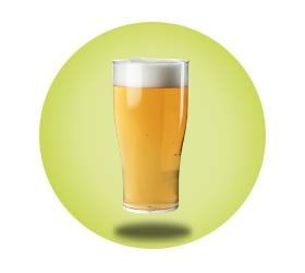 Tulip Glass Range