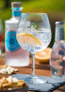 Utopia Plastic Gin Glasses
